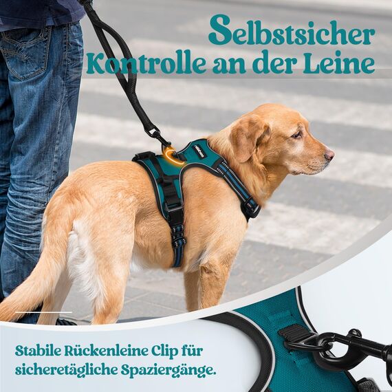 rabbitgoo Hundegeschirr Mittelgroße Hunde, Anti Zug Geschirr mit Kontrolle, No Pull Verstellbar Hundegeschirr Grosse Hunde, Atmungsaktiv Reflexstreifen Brustgeschirr Sichere Führung Dunkelgrün S