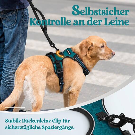 rabbitgoo Hundegeschirr Grosse Hunde, Anti Zug Geschirr mit Kontrolle, No Pull Verstellbar Hundegeschirr Mittelgroße Hunde, Atmungsaktiv Reflexstreifen Brustgeschirr Sichere Führung, Dunkelgrün, XL