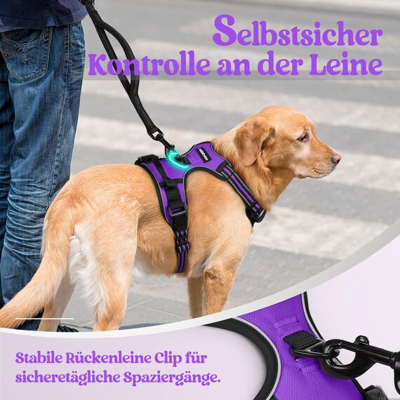 rabbitgoo Hundegeschirr Grosse Hunde, Anti Zug Geschirr mit Kontrolle, No Pull Verstellbar Hundegeschirr Mittelgroße Hunde, Atmungsaktiv Reflexstreifen Brustgeschirr Sichere Führung, Lila, L