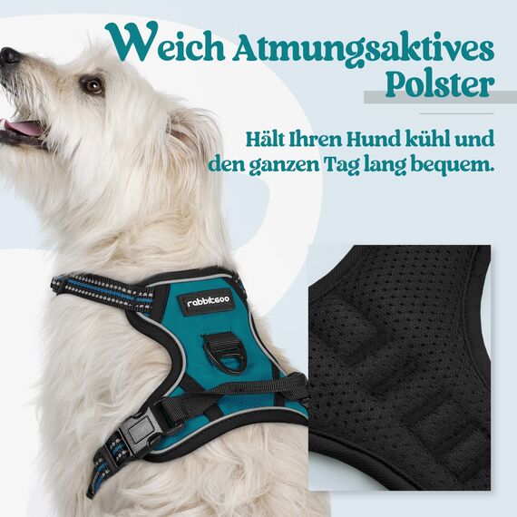 rabbitgoo Hundegeschirr Kleine Hunde, Anti Zug Geschirr mit Kontrolle, No Pull Verstellbar Hundegeschirr Grosse Hunde, Atmungsaktiv Reflexstreifen Brustgeschirr Sichere Führung Dunkelgrün XS