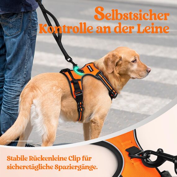 rabbitgoo Hundegeschirr Mittelgroße Hunde Anti Zug Geschirr Hund mit Kontrolle No Pull Verstellbar Hundegeschirr Grosse Hunde Atmungsaktiv Reflexstreifen Brustgeschirr Hund Sichere Führung Orange M