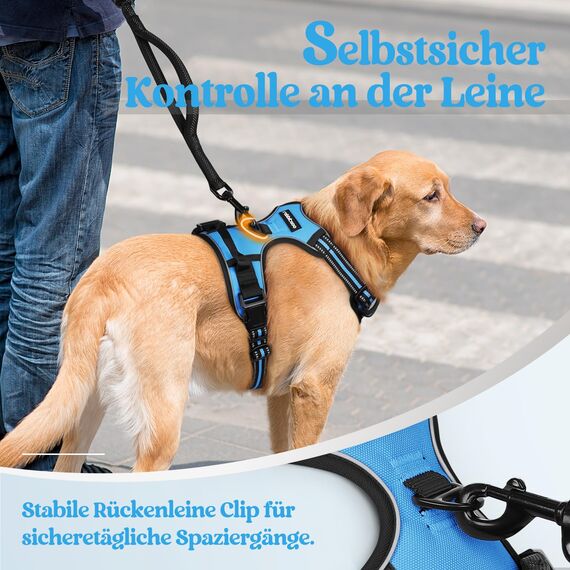 rabbitgoo Hundegeschirr Mittelgroße Hunde, Anti Zug Geschirr mit Kontrolle, No Pull Verstellbar Hundegeschirr Grosse Hunde, Atmungsaktiv Reflexstreifen Brustgeschirr Sichere Führung Hellblau M