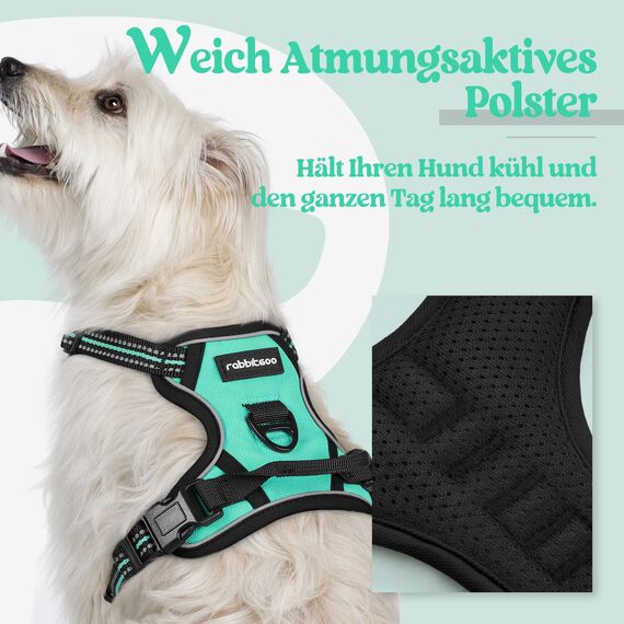 rabbitgoo Hundegeschirr Kleine Hunde, Anti Zug Geschirr mit Kontrolle, No Pull Verstellbar Hundegeschirr Grosse Hunde, Atmungsaktiv Reflexstreifen Brustgeschirr Sichere Führung Grün XS