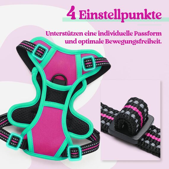 rabbitgoo Hundegeschirr Mittelgroße Hunde, Anti Zug Geschirr mit Kontrolle, No Pull Verstellbar Hundegeschirr Grosse Hunde, Atmungsaktiv Reflexstreifen Brustgeschirr Sichere，Rosarot & Mint Grün，XS