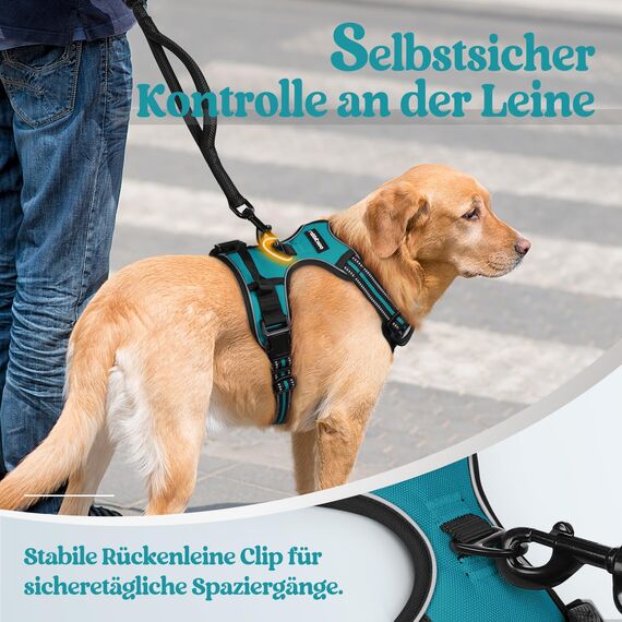 rabbitgoo Hundegeschirr Grosse Hunde, Anti Zug Geschirr mit Kontrolle, No Pull Verstellbar Hundegeschirr Mittelgroße Hunde, Atmungsaktiv Reflexstreifen Brustgeschirr Sichere Führung, Blaugrün, XL