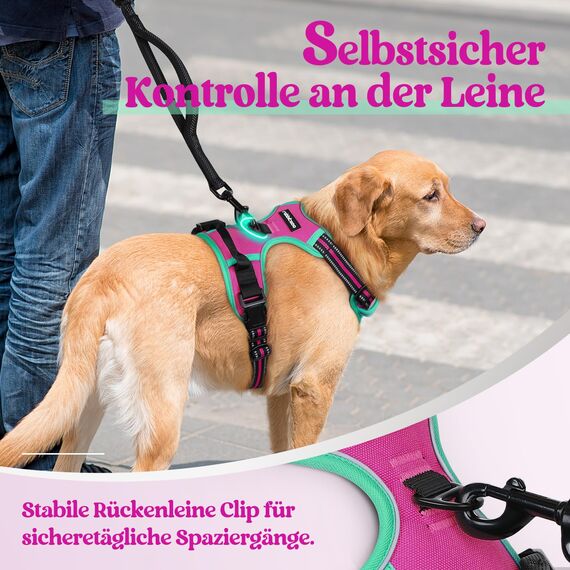 rabbitgoo Hundegeschirr Mittelgroße Hunde, Anti Zug Geschirr mit Kontrolle, No Pull Verstellbar Hundegeschirr Grosse Hunde, Atmungsaktiv Reflexstreifen Brustgeschirr Sichere，Rosarot & Mint Grün，M