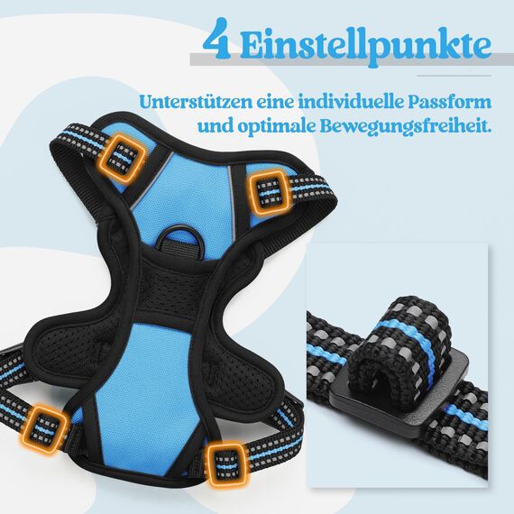 rabbitgoo Hundegeschirr Kleine Hunde, Anti Zug Geschirr mit Kontrolle, No Pull Verstellbar Hundegeschirr Grosse Hunde, Atmungsaktiv Reflexstreifen Brustgeschirr Sichere Führung Hellblau XS