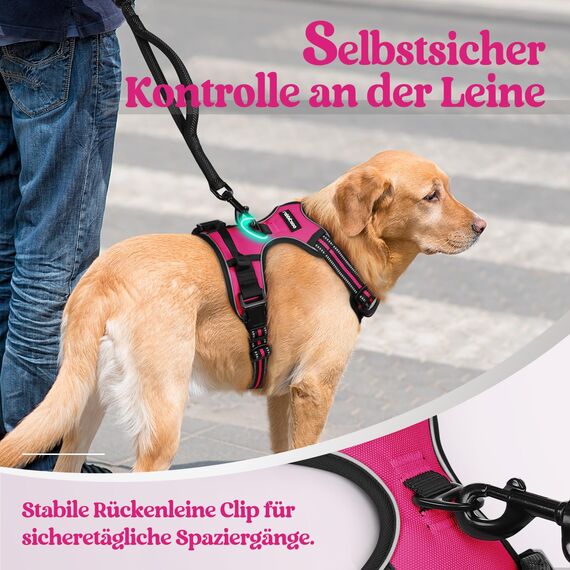rabbitgoo Hundegeschirr Grosse Hunde, Anti Zug Geschirr mit Kontrolle, No Pull Verstellbar Hundegeschirr Mittelgroße Hunde, Atmungsaktiv Reflexstreifen Brustgeschirr Sichere Führung, Rosarot, L