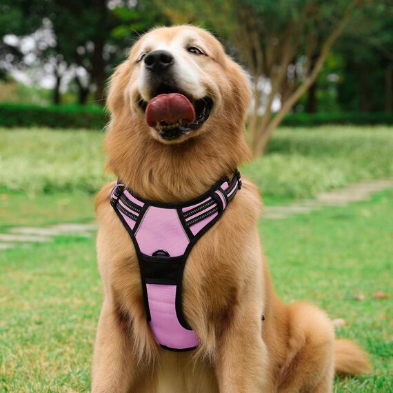 rabbitgoo Hundegeschirr Grosse Hunde, Anti Zug Geschirr mit Kontrolle, No Pull Verstellbar Hundegeschirr Mittelgroße Hunde, Atmungsaktiv Reflexstreifen Brustgeschirr Sichere Führung, Rosa, L