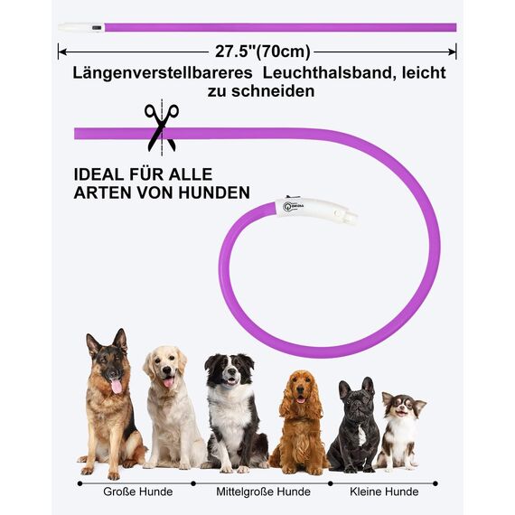Joytale Leuchthalsband Hund USB Aufladbar Hundehalsband Leuchtend für Große Mittel Kleine Hunde und Welpe, Led Halsband mit 3 Modi für Sicherheit, Lila