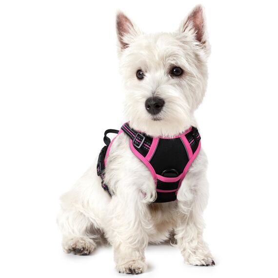 rabbitgoo Hundegeschirr Mittelgroße Hunde, Anti Zug Geschirr mit Kontrolle, No Pull Verstellbar Hundegeschirr Grosse Hunde, Atmungsaktiv Reflexstreifen Brustgeschirr Sichere，Schwarz & Rosarot，XS