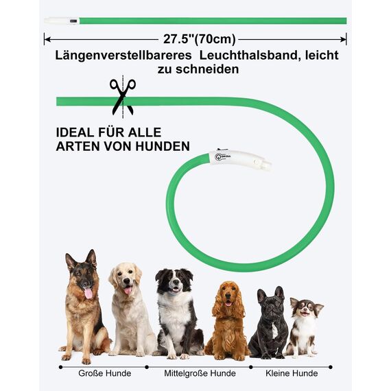 Joytale Leuchthalsband Hund USB Aufladbar Hundehalsband Leuchtend für Große Mittel Kleine Hunde und Welpe, Led Halsband mit 3 Modi für Sicherheit, Grün