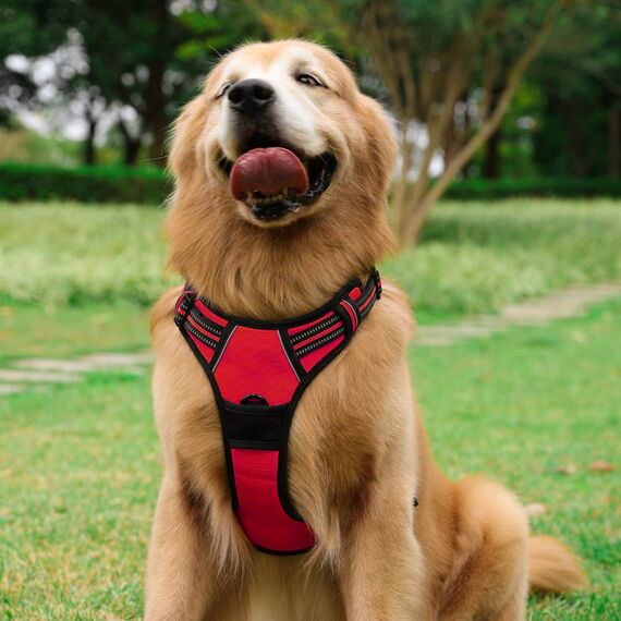 rabbitgoo Hundegeschirr Grosse Hunde, Anti Zug Geschirr mit Kontrolle, No Pull Verstellbar Hundegeschirr Mittelgroße Hunde, Atmungsaktiv Reflexstreifen Brustgeschirr Sichere Führung, Rot, L