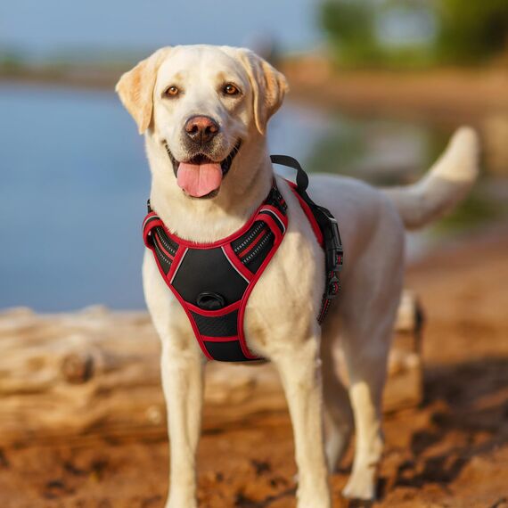 rabbitgoo Hundegeschirr Kleine Hunde, Anti Zug Geschirr mit Kontrolle, No Pull Verstellbar Hundegeschirr Grosse Hunde, Atmungsaktiv Reflexstreifen Brustgeschirr Sichere Führung Schwarz+Rot XS