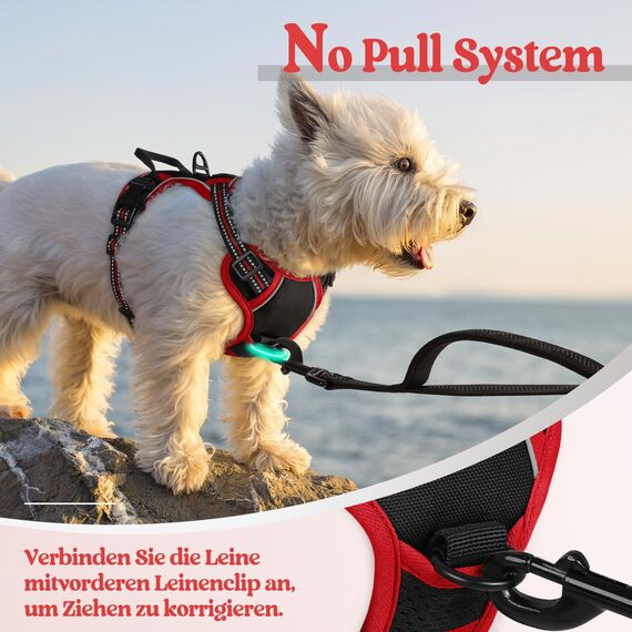 rabbitgoo Hundegeschirr Kleine Hunde, Anti Zug Geschirr mit Kontrolle, No Pull Verstellbar Hundegeschirr Grosse Hunde, Atmungsaktiv Reflexstreifen Brustgeschirr Sichere Führung Schwarz+Rot XS