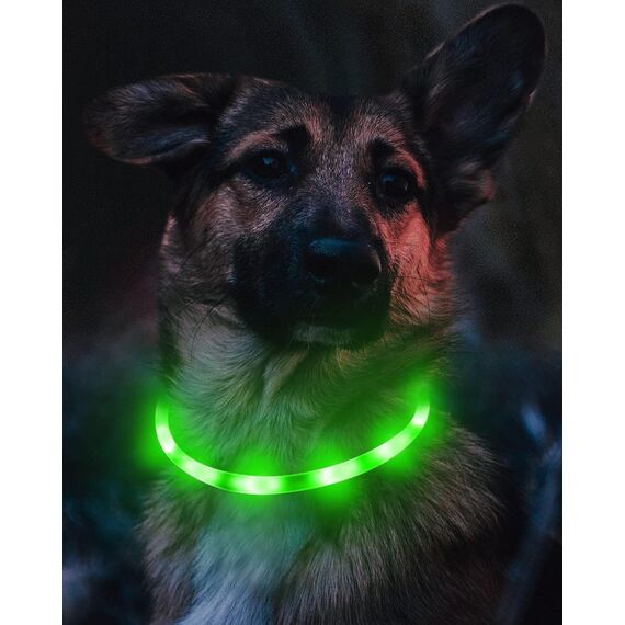 Joytale Leuchthalsband Hund USB Aufladbar Hundehalsband Leuchtend für Große Mittel Kleine Hunde und Welpe, Led Halsband mit 3 Modi für Sicherheit, Grün