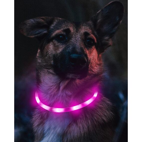 Joytale Leuchthalsband Hund USB Aufladbar Hundehalsband Leuchtend für Große Mittel Kleine Hunde und Welpe, Led Halsband mit 3 Modi für Sicherheit, Lila