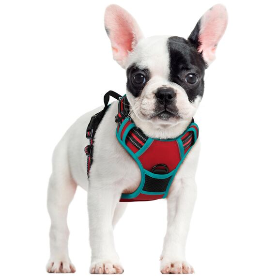 rabbitgoo Hundegeschirr Mittelgroße Hunde, Anti Zug Geschirr mit Kontrolle, No Pull Verstellbar Hundegeschirr Grosse Hunde, Atmungsaktiv Reflexstreifen Brustgeschirr Sichere Führung Rot+Blaugrün S