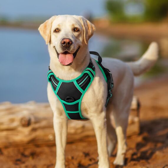 rabbitgoo Hundegeschirr Grosse Hunde, Anti Zug Geschirr mit Kontrolle, No Pull Verstellbar Hundegeschirr Mittelgroße Hunde, Atmungsaktiv Reflexstreifen Brustgeschirr Sichere Führung, Schwarz & Grün, L