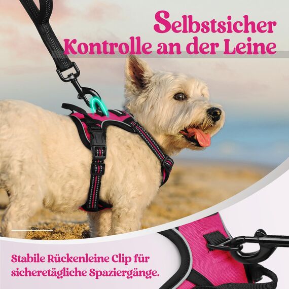 rabbitgoo Hundegeschirr Kleine Hunde, Anti Zug Geschirr mit Kontrolle, No Pull Verstellbar Hundegeschirr Grosse Hunde, Atmungsaktiv Reflexstreifen Brustgeschirr Sichere Führung Rosarot XS