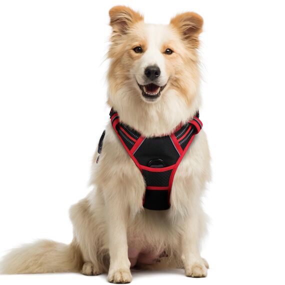 rabbitgoo Hundegeschirr Mittelgroße Hunde, Anti Zug Geschirr mit Kontrolle, No Pull Verstellbar Hundegeschirr Grosse Hunde, Atmungsaktiv Reflexstreifen Brustgeschirr Sichere Führung Schwarz+Rot M