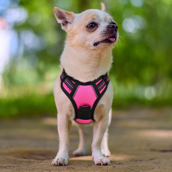 rabbitgoo Hundegeschirr Kleine Hunde, Anti Zug Geschirr mit Kontrolle, No Pull Verstellbar Hundegeschirr Grosse Hunde, Atmungsaktiv Reflexstreifen Brustgeschirr Sichere Führung Rosarot XS