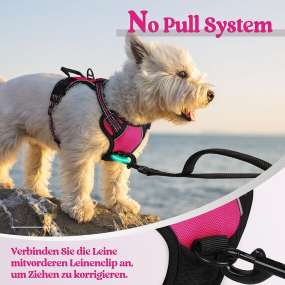 rabbitgoo Hundegeschirr Kleine Hunde, Anti Zug Geschirr mit Kontrolle, No Pull Verstellbar Hundegeschirr Grosse Hunde, Atmungsaktiv Reflexstreifen Brustgeschirr Sichere Führung Rosarot XS