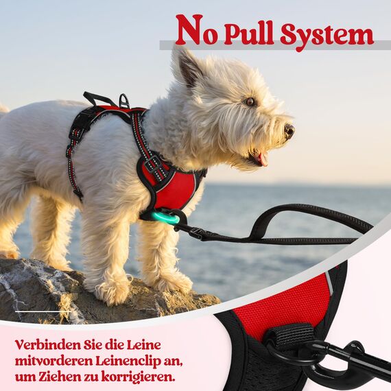 rabbitgoo Hundegeschirr Kleine Hunde, Anti Zug Geschirr mit Kontrolle, No Pull Verstellbar Hundegeschirr Grosse Hunde, Atmungsaktiv Reflexstreifen Brustgeschirr Sichere Führung Rot XS