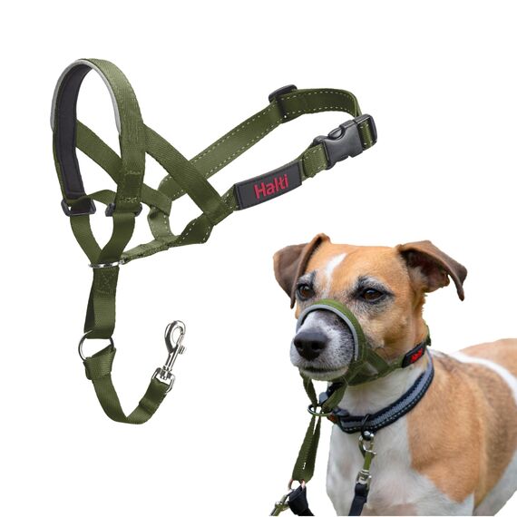 HALTI Kopfgeschirr - Verhindert, dass Ihr Hund an der Leine zieht, Einfache Anpassung, Leicht, mit gepolstertem Nasenriemen, Anti-Zug-Halsband für kleine Hunde (Größe 1, Waldgrün)