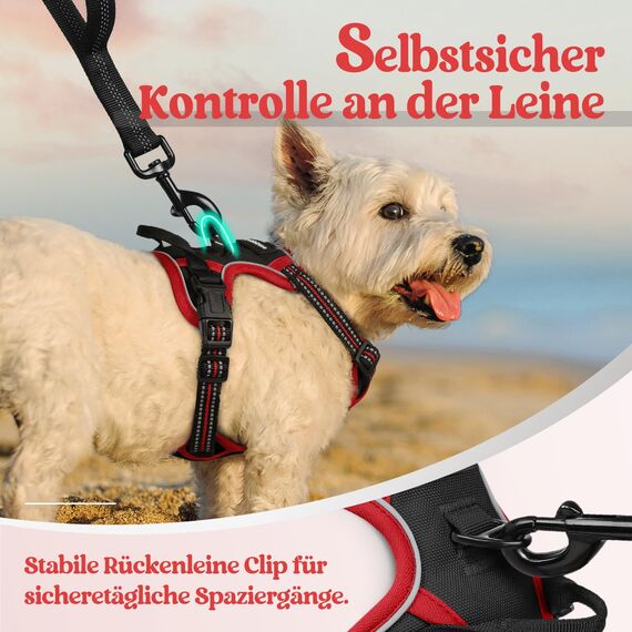 rabbitgoo Hundegeschirr Kleine Hunde, Anti Zug Geschirr mit Kontrolle, No Pull Verstellbar Hundegeschirr Grosse Hunde, Atmungsaktiv Reflexstreifen Brustgeschirr Sichere Führung Schwarz+Rot XS