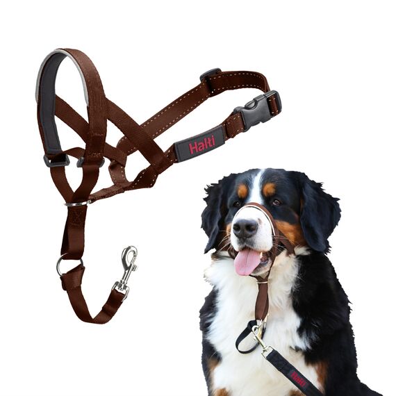 HALTI Kopfgeschirr - Verhindert, dass Ihr Hund an der Leine zieht, Einfache Anpassung, Leicht, mit gepolstertem Nasenriemen, Anti-Zug-Halsband für große Hunde (Größe 4, Walnussbraun)