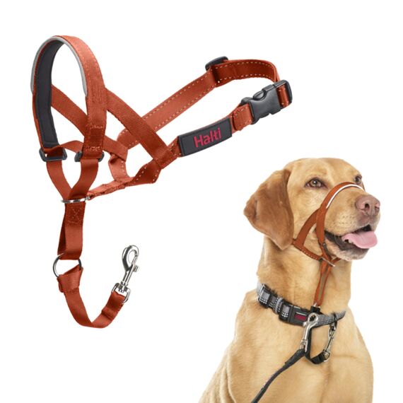 HALTI Kopfgeschirr - Verhindert, dass Ihr Hund an der Leine zieht, Einfache Anpassung, Leicht, mit gepolstertem Nasenriemen, Anti-Zug-Halsband für mittelgroße Hunde (Größe 3, Dunkelorange)