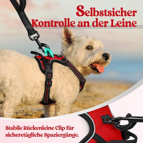 rabbitgoo Hundegeschirr Kleine Hunde, Anti Zug Geschirr mit Kontrolle, No Pull Verstellbar Hundegeschirr Grosse Hunde, Atmungsaktiv Reflexstreifen Brustgeschirr Sichere Führung Rot XS