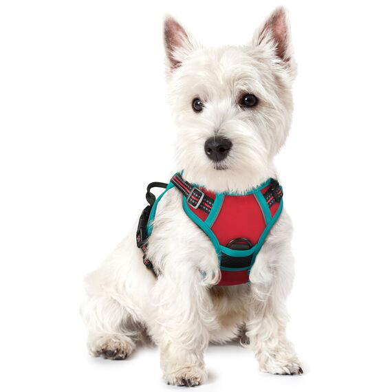 rabbitgoo Hundegeschirr Kleine Hunde, Anti Zug Geschirr mit Kontrolle, No Pull Verstellbar Hundegeschirr Grosse Hunde, Atmungsaktiv Reflexstreifen Brustgeschirr Sichere Führung Rot+Blaugrün XS