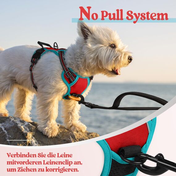 rabbitgoo Hundegeschirr Kleine Hunde, Anti Zug Geschirr mit Kontrolle, No Pull Verstellbar Hundegeschirr Grosse Hunde, Atmungsaktiv Reflexstreifen Brustgeschirr Sichere Führung Rot+Blaugrün XS