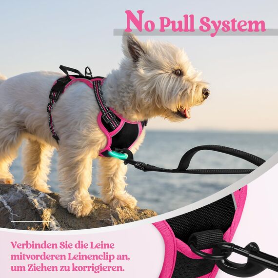 rabbitgoo Hundegeschirr Mittelgroße Hunde, Anti Zug Geschirr mit Kontrolle, No Pull Verstellbar Hundegeschirr Grosse Hunde, Atmungsaktiv Reflexstreifen Brustgeschirr Sichere，Schwarz & Rosarot，XS