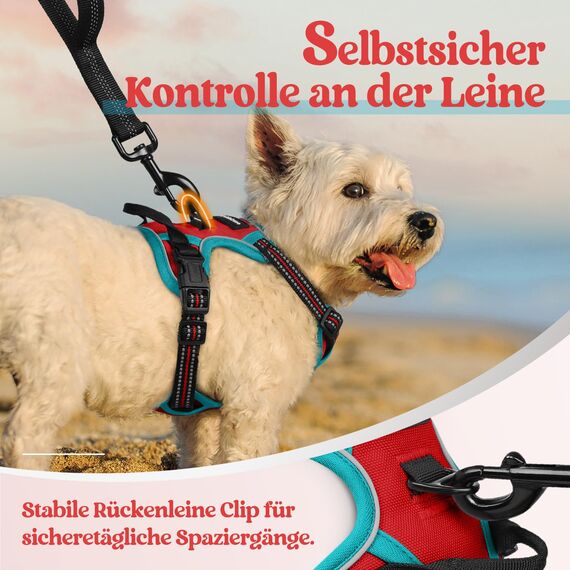 rabbitgoo Hundegeschirr Kleine Hunde, Anti Zug Geschirr mit Kontrolle, No Pull Verstellbar Hundegeschirr Grosse Hunde, Atmungsaktiv Reflexstreifen Brustgeschirr Sichere Führung Rot+Blaugrün XS