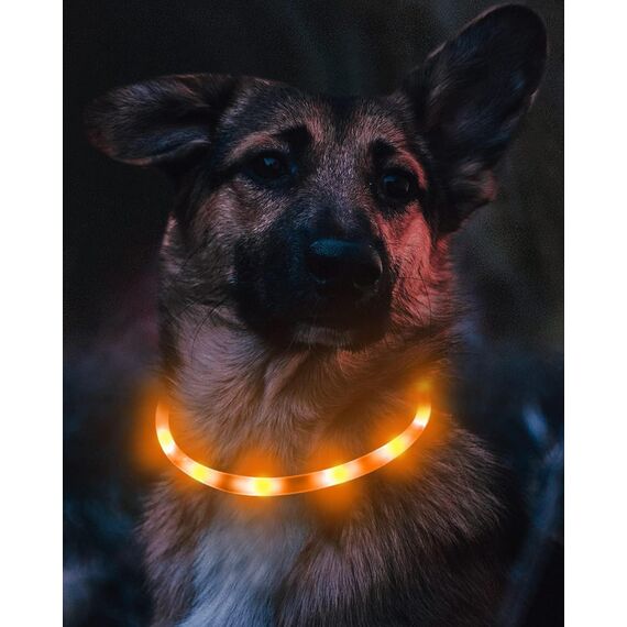 Joytale Leuchthalsband Hund USB Aufladbar Hundehalsband Leuchtend für Große Mittel Kleine Hunde und Welpe, Led Halsband mit 3 Modi für Sicherheit, Orange