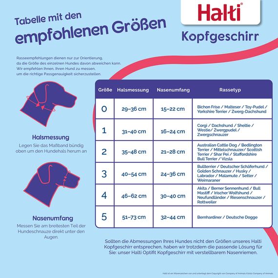 HALTI Kopfgeschirr - Verhindert, dass Ihr Hund an der Leine zieht, Einfache Anpassung, Leicht, mit gepolstertem Nasenriemen, Anti-Zug-Halsband für große Hunde (Größe 4, Waldgrün)