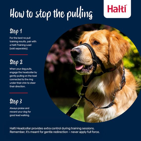 HALTI Kopfgeschirr - Verhindert, dass Ihr Hund an der Leine zieht, Einfache Anpassung, Leicht, mit gepolstertem Nasenriemen, Anti-Zug-Halsband für mittelgroße Hunde (Größe 2, Rot)