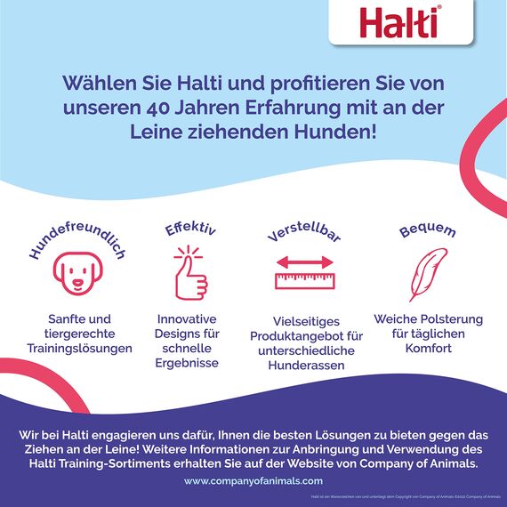 HALTI Kopfgeschirr - Verhindert, dass Ihr Hund an der Leine zieht, Einfache Anpassung, Leicht, mit gepolstertem Nasenriemen, Anti-Zug-Halsband für mittelgroße Hunde (Größe 2, Kobaltblau)