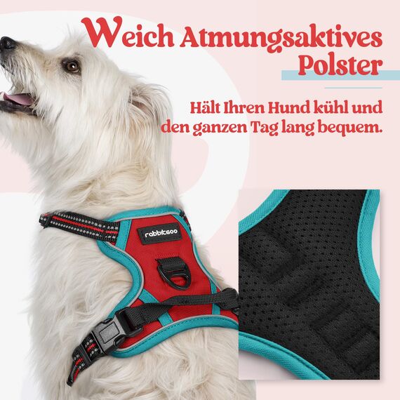 rabbitgoo Hundegeschirr Kleine Hunde, Anti Zug Geschirr mit Kontrolle, No Pull Verstellbar Hundegeschirr Grosse Hunde, Atmungsaktiv Reflexstreifen Brustgeschirr Sichere Führung Rot+Blaugrün XS