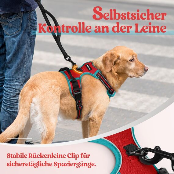 rabbitgoo Hundegeschirr Mittelgroße Hunde, Anti Zug Geschirr mit Kontrolle, No Pull Verstellbar Hundegeschirr Grosse Hunde, Atmungsaktiv Reflexstreifen Brustgeschirr Sichere Führung Rot+Blaugrün S