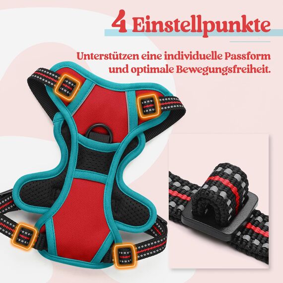 rabbitgoo Hundegeschirr Kleine Hunde, Anti Zug Geschirr mit Kontrolle, No Pull Verstellbar Hundegeschirr Grosse Hunde, Atmungsaktiv Reflexstreifen Brustgeschirr Sichere Führung Rot+Blaugrün XS