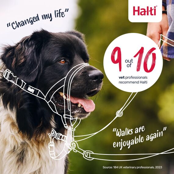 HALTI Kopfgeschirr - Verhindert, dass Ihr Hund an der Leine zieht, Einfache Anpassung, Leicht, mit gepolstertem Nasenriemen, Anti-Zug-Halsband für mittelgroße Hunde (Größe 2, Rot)