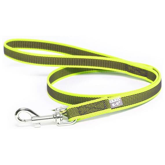 IDC Color & Gray gumierte Leine, 20 mm x 2 m mit Schlaufe und D-Ring, Neon-Grau