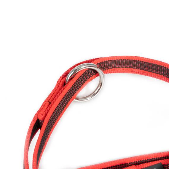IDC Color & Gray verstellbare Leine mit Doppelkarabiner, 20 mm x 2,2 m, Rot-Grau