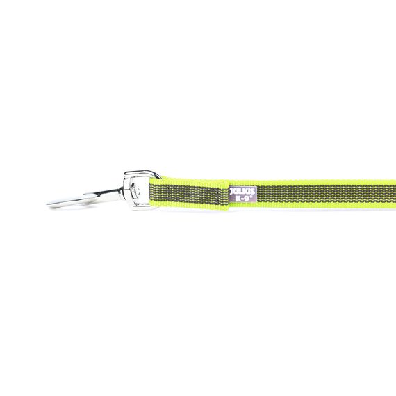 IDC Color & Gray gumierte Leine, 20 mm x 1,2 m mit Schlaufe und O-Ring, Neon-Grau