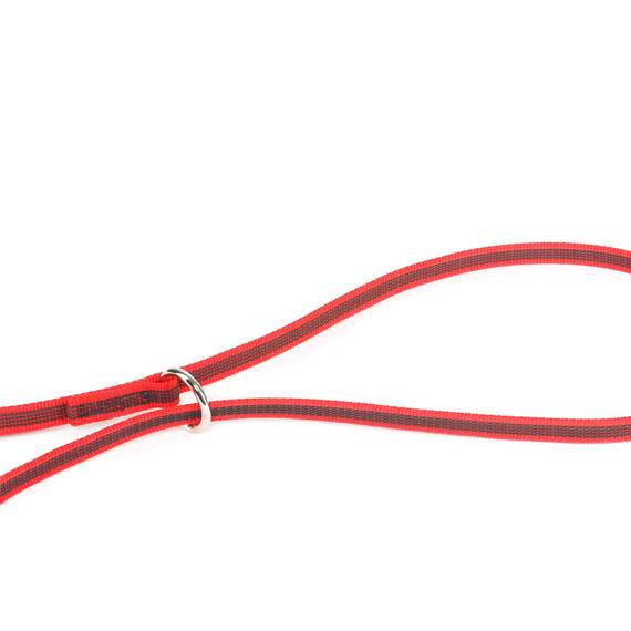 IDC Color & Gray verstellbare Leine mit Doppelkarabiner, 14 mm x 2,2 m, Rot-Grau