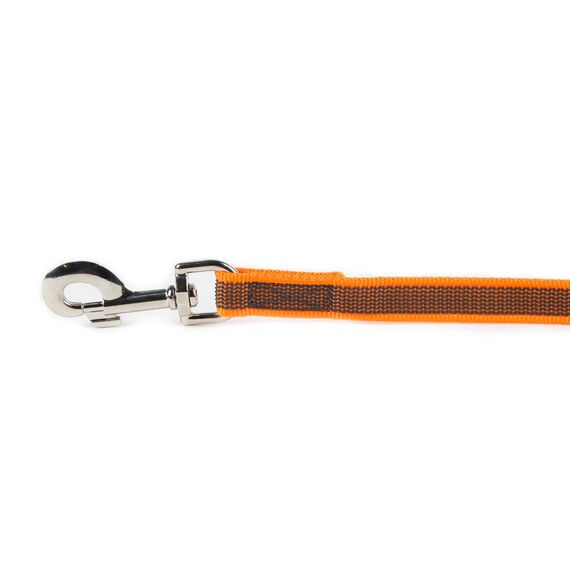 IDC Color & Gray gumierte Leine, 20 mm x 2 m ohne Schlaufe, Orange-Grau